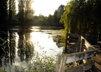 Twin Ponds Park