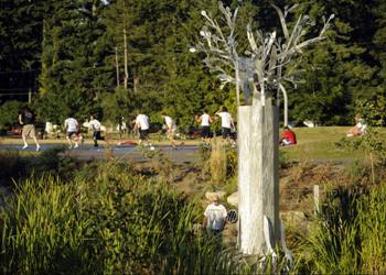Raintree by Kristin Tollefson, public art at Cromwell Park