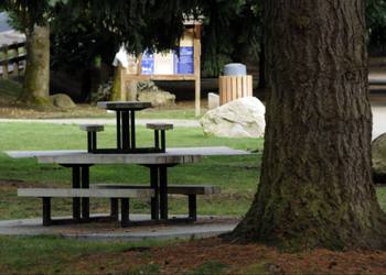 Boeing Creek Park picnic area